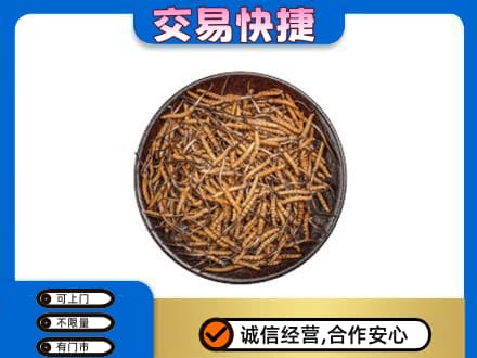钟山区回收散虫草